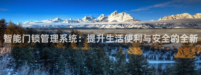 金年会体育官网：智能门锁管理系统：提升生活便利与安全的全新