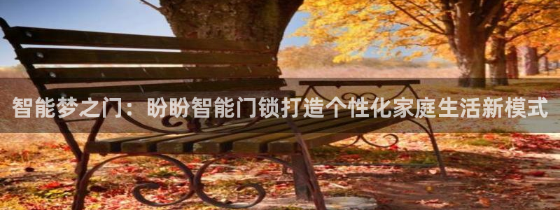 宝金年会：智能梦之门：盼盼智能门锁打造个性化家庭生活新模式