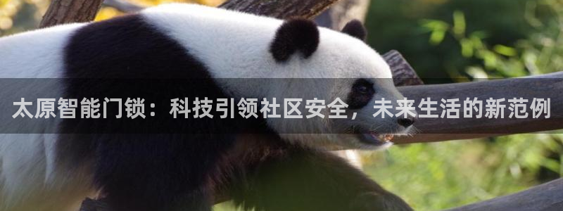 金年会最新下载：太原智能门锁：科技引领社区安全，未来生活的新