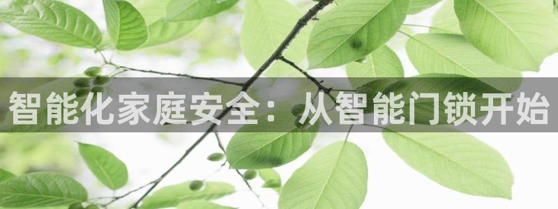 金年会手机登录：智能化家庭安全：从智能门锁开始