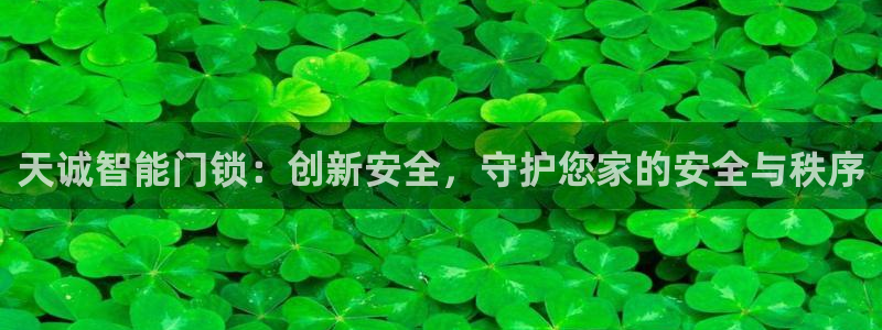 金年会品牌：天诚智能门锁：创新安全，守护您家的安全与秩序