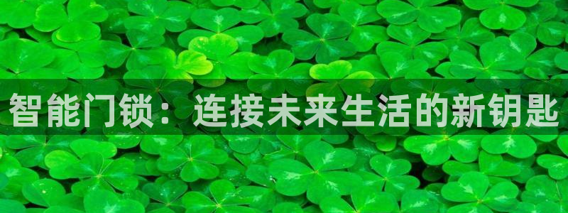 金年会app下载官网：智能门锁：连接未来生活的新钥匙