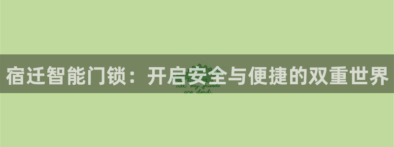 金年会官方入口：宿迁智能门锁：开启安全与便捷的双重世界