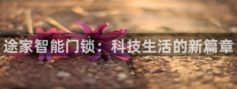 金年会电子游戏：途家智能门锁：科技生活的新篇章