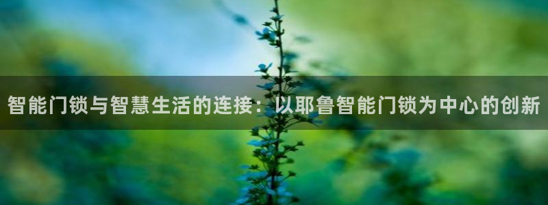 金年会官方入口：智能门锁与智慧生活的连接：以耶鲁智能门锁为中