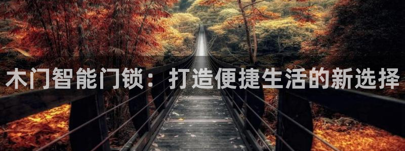金年会登录平台入口：木门智能门锁：打造便捷生活的新选择