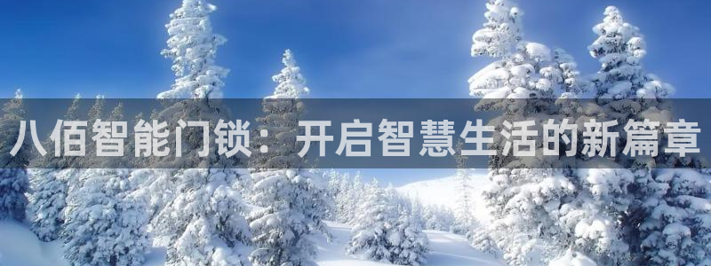 金年会金年会：八佰智能门锁：开启智慧生活的新篇章