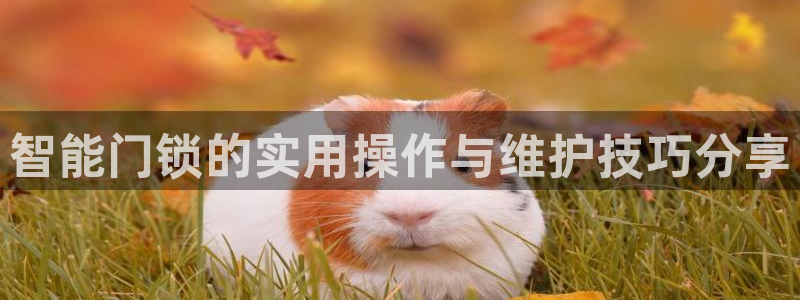 金年会彩票下载app：智能门锁的实用操作与维护技巧分享