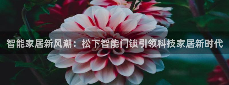 金年会体育官方网站入口：智能家居新风潮：松下智能门锁引领科技