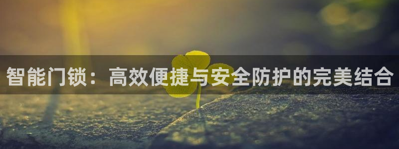 金年会活动策划：智能门锁：高效便捷与安全防护的完美结合