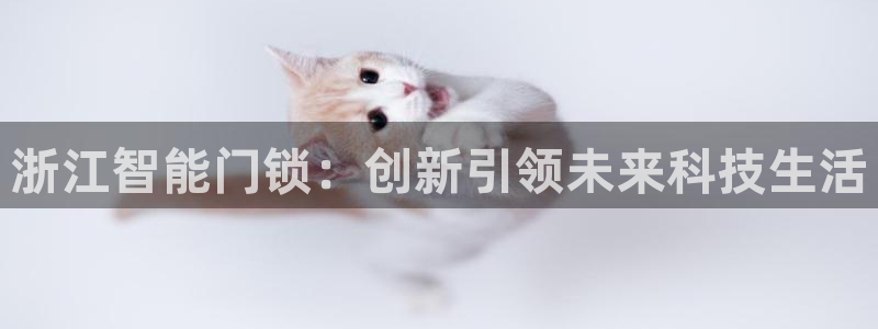 金年会注册官网：浙江智能门锁：创新引领未来科技生活