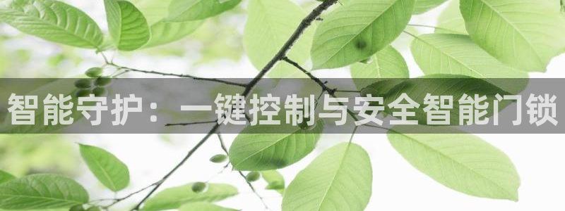 金年会金字招牌诚信：智能守护：一键控制与安全智能门锁