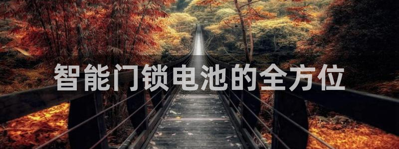 金年会足彩：智能门锁电池的全方位