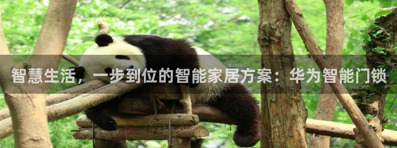 金年会平台出款：智慧生活，一步到位的智能家居方案：华为智能门