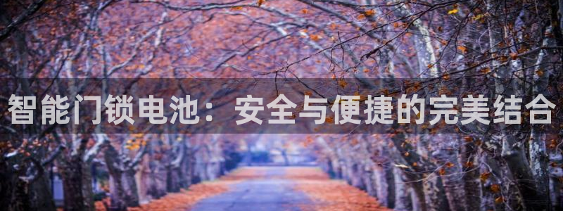 金年会赞助西甲：智能门锁电池：安全与便捷的完美结合