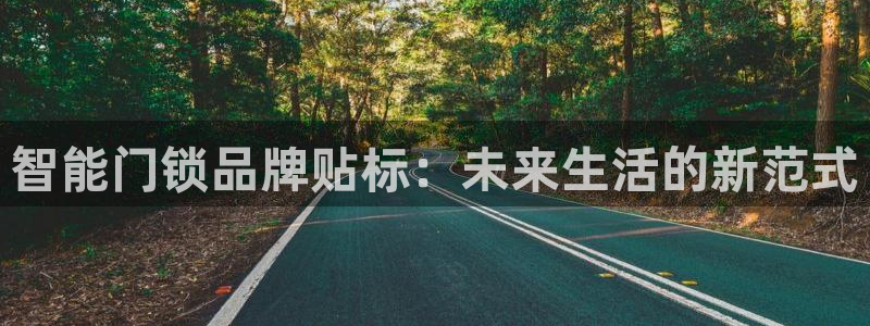 金年会活动：智能门锁品牌贴标：未来生活的新范式
