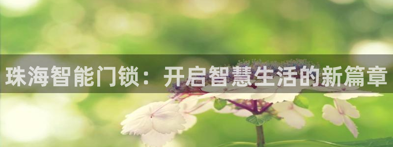 金年会登录：珠海智能门锁：开启智慧生活的新篇章