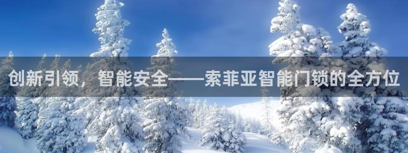 金年会平台是真的吗：创新引领，智能安全——索菲亚智能门锁的全