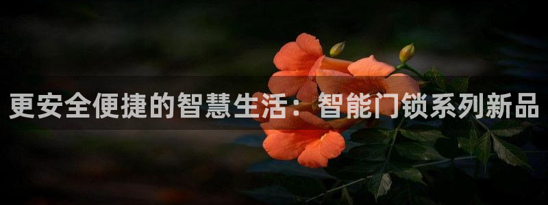 金年会 平台：更安全便捷的智慧生活：智能门锁系列新品