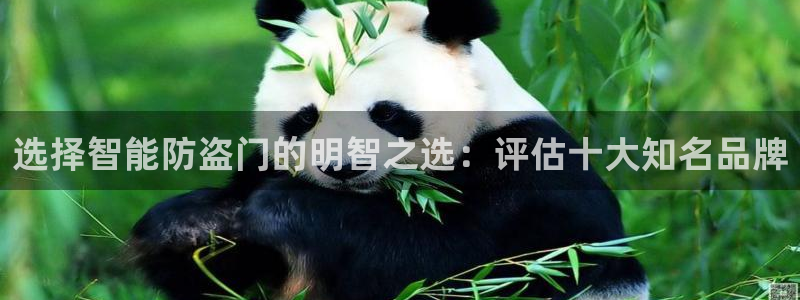 金年会体育：选择智能防盗门的明智之选：评估十大知名品牌