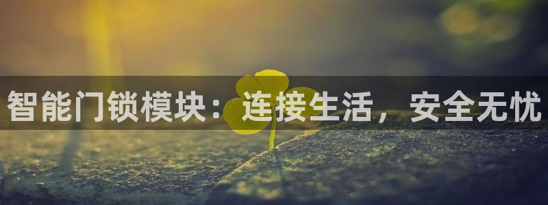 金年会官方网站下载：智能门锁模块：连接生活，安全无忧