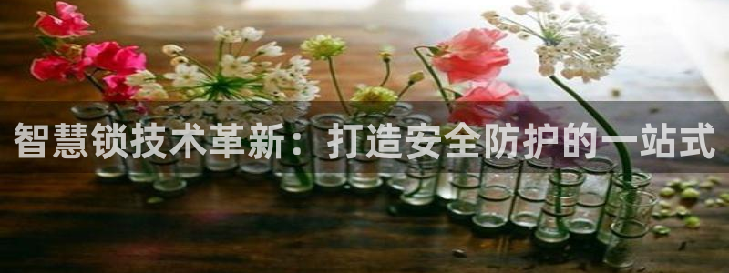 金年会平台包赔：智慧锁技术革新：打造安全防护的一站式