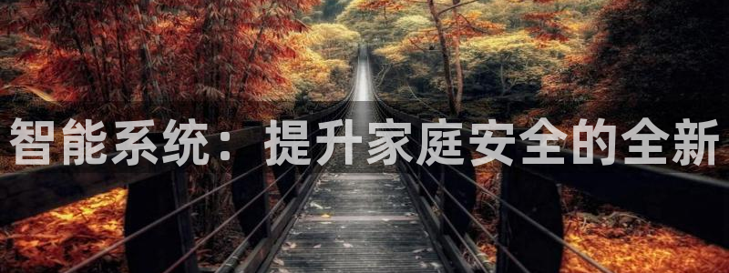 金哥年会：智能系统：提升家庭安全的全新