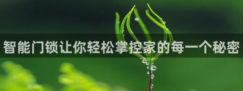 澳门与金年会的关系：智能门锁让你轻松掌控家的每一个秘密