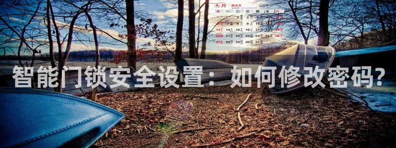 金年会最新登录：智能门锁安全设置：如何修改密码?