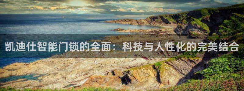 金联金年会：凯迪仕智能门锁的全面：科技与人性化的完美结合